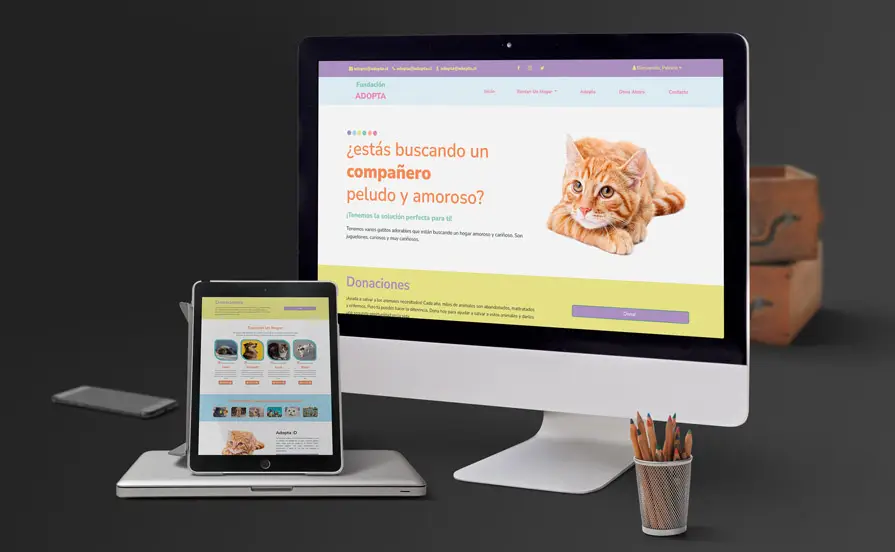 Web Adopción