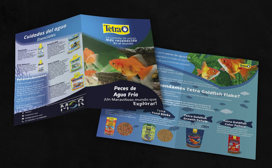 Díptico Tetra Goldfish