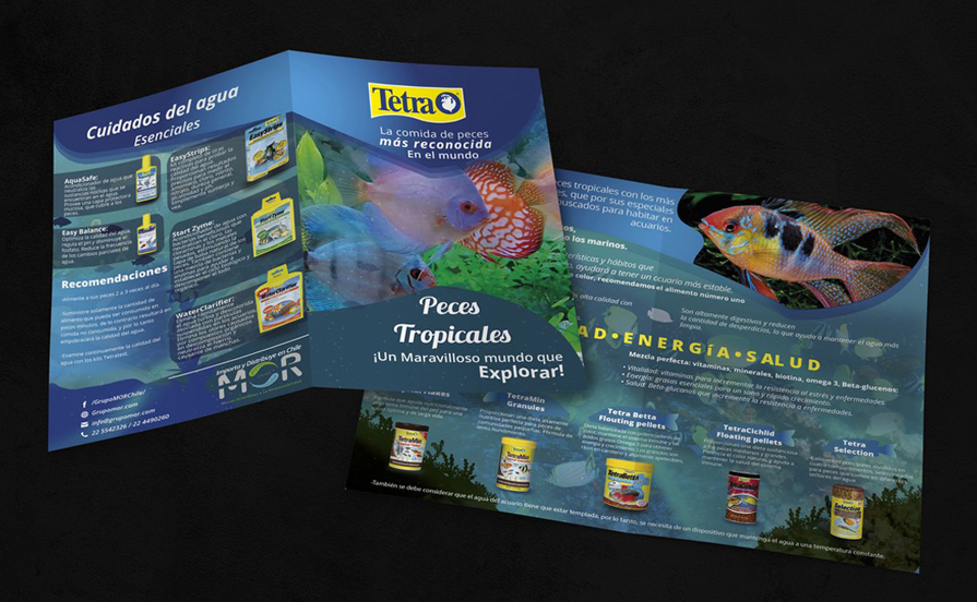 Díptico Tetra Tropical